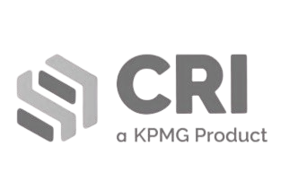 KPMG - Cyber Risk Insights