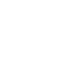 insta-icon