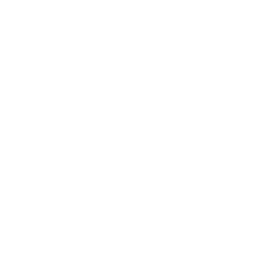 linkedin-icon